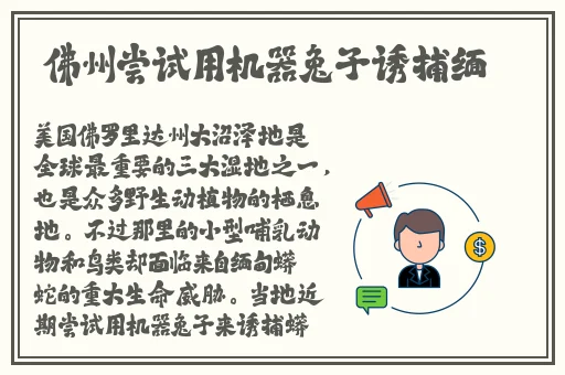 消防糙汉VS江怡老师内容介绍